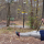 Profielfoto van Nick Brackeva